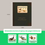 Livre dinosaure