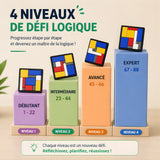 Défi logique