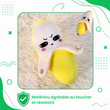 Peluche musicale
